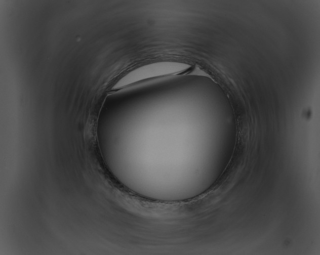 X0000091190044200708301246