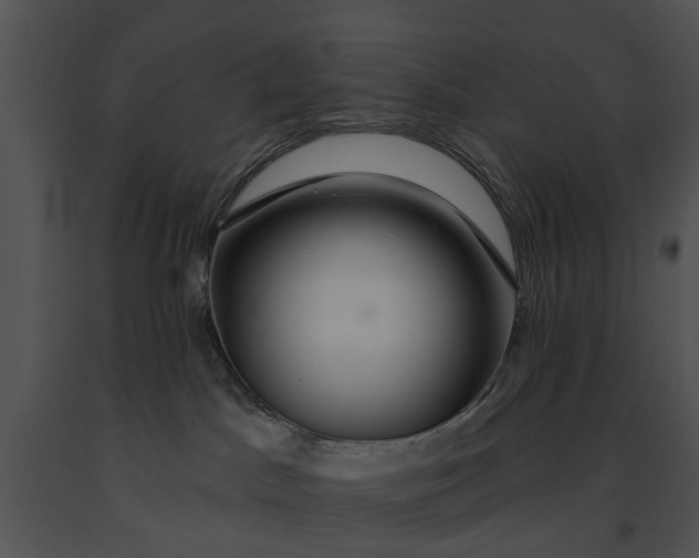 X0000091190045200708301246