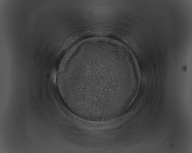 X0000091190046200708301246