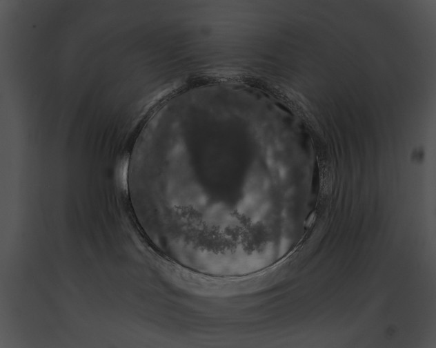 X0000091190047200708301246