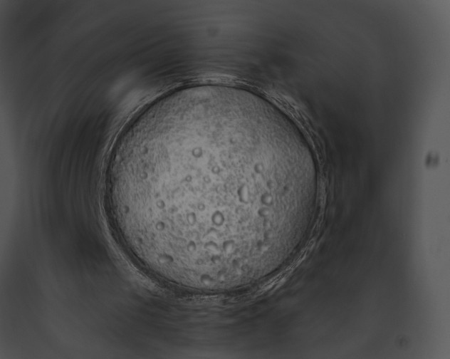 X0000091190049200708301245