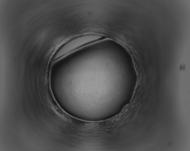 X0000091190050200708301245