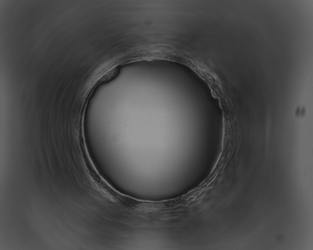 X0000091190051200708301245