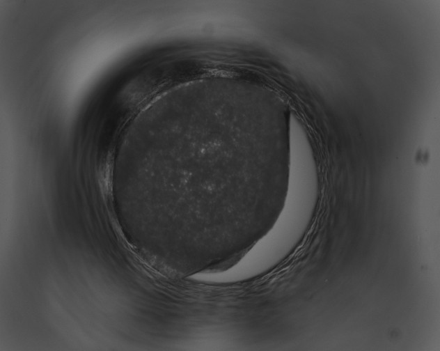 X0000091190052200708301245