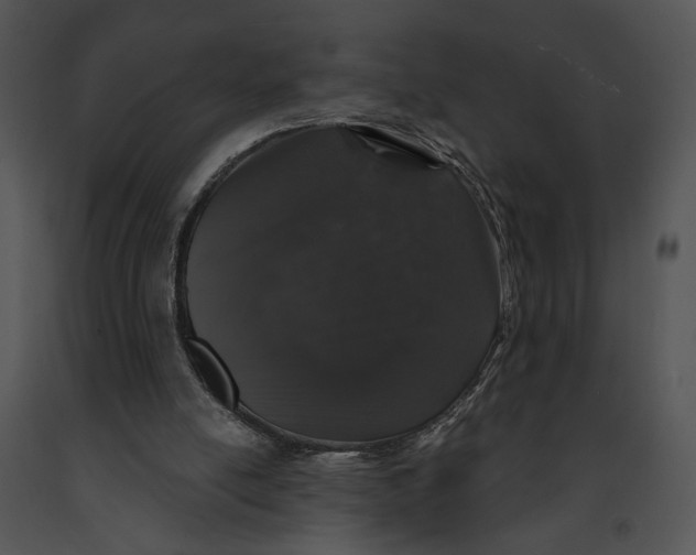 X0000091190054200708301245