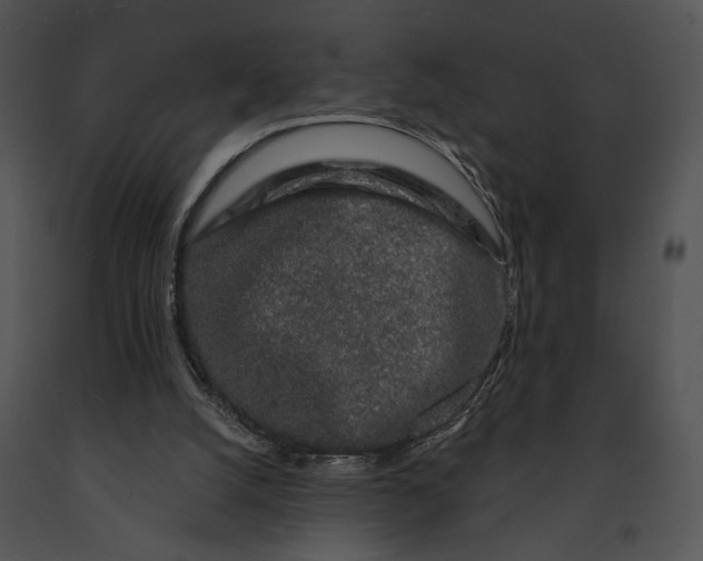 X0000091190056200708301245