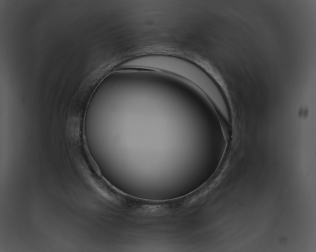 X0000091190057200708301245