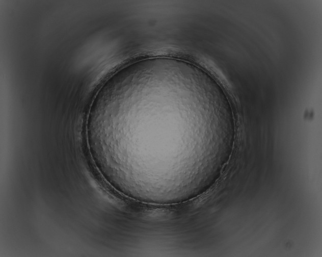 X0000091190058200708301245