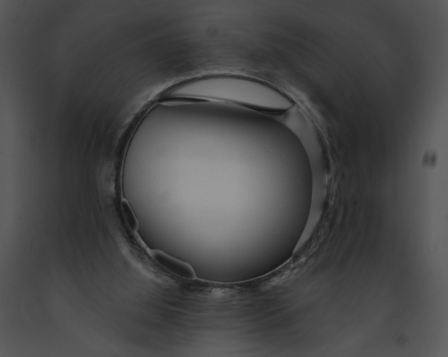 X0000091190060200708301246