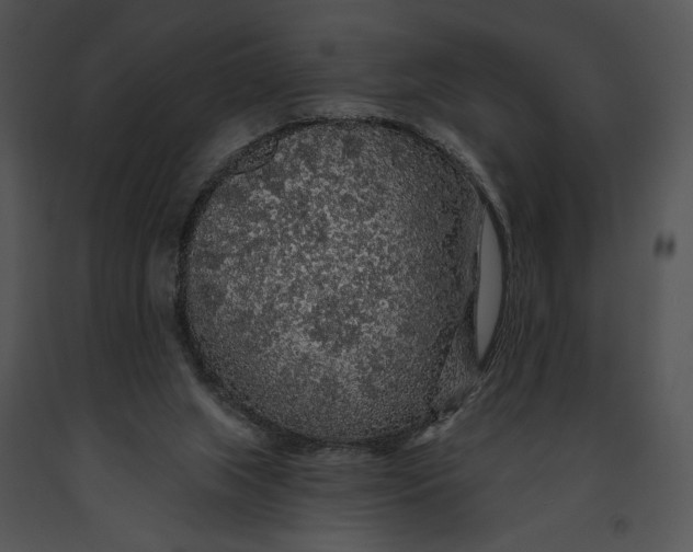 X0000091190063200708301246