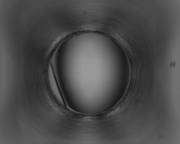 X0000091190064200708301246