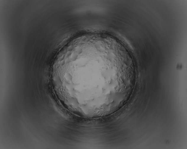 X0000091190065200708301246