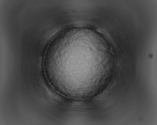 X0000091190066200708301246