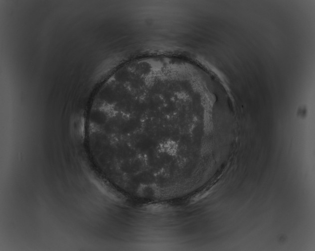 X0000091190067200708301246