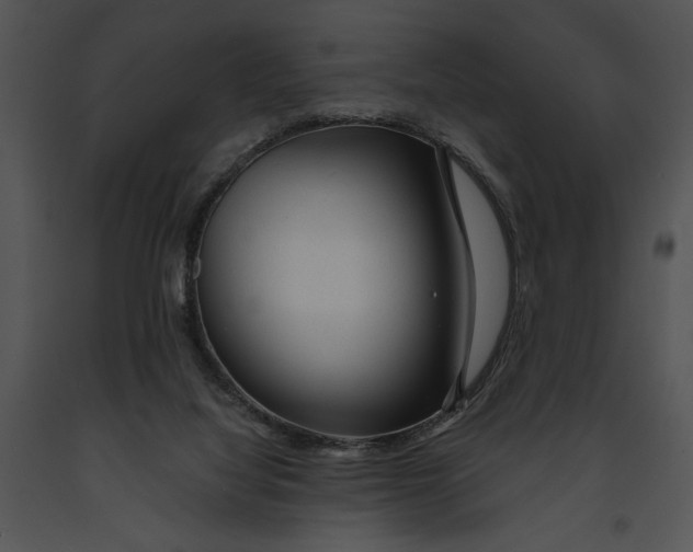 X0000091190068200708301246