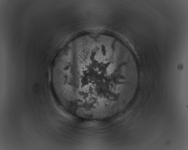 X0000091190069200708301246