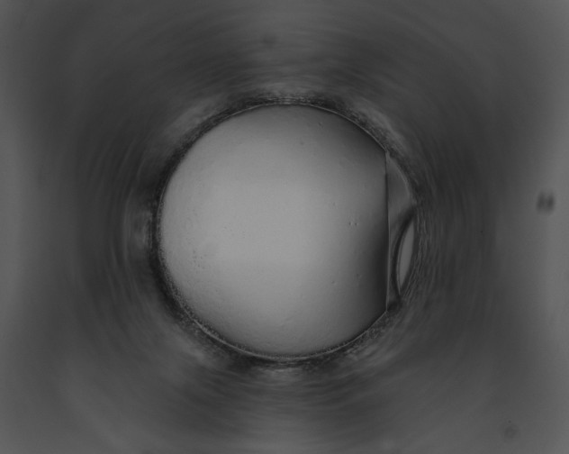 X0000091190071200708301246