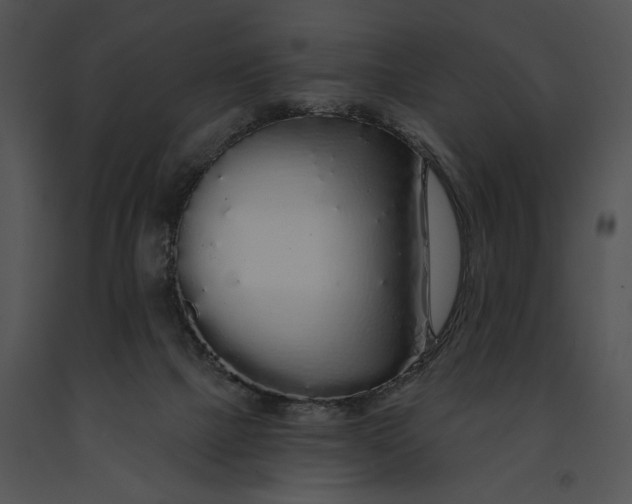 X0000091190073200708301246