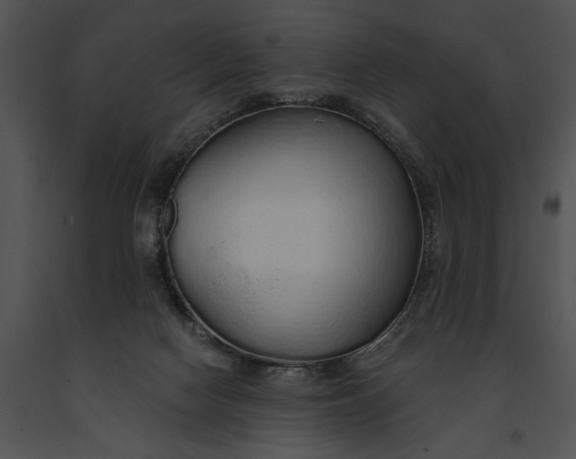 X0000091190074200708301246