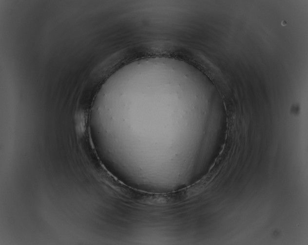 X0000091190075200708301246