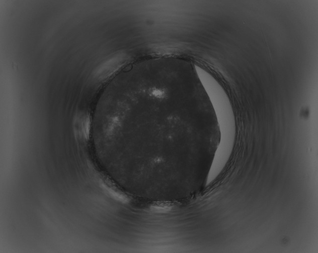 X0000091190076200708301246