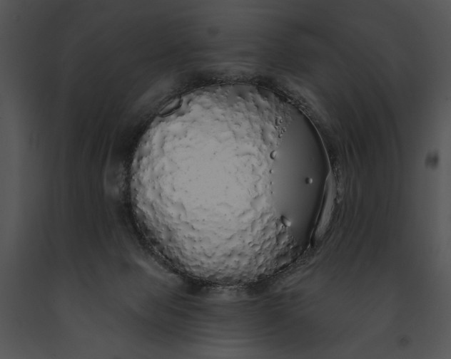 X0000091190077200708301246