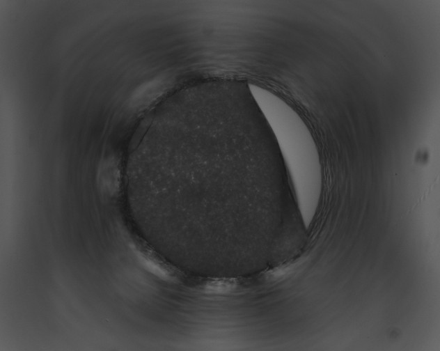 X0000091190080200708301246