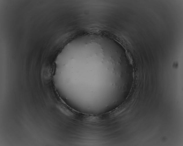 X0000091190081200708301246