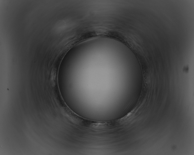 X0000091190082200708301246