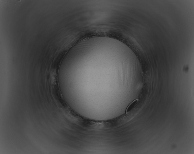 X0000091190083200708301246