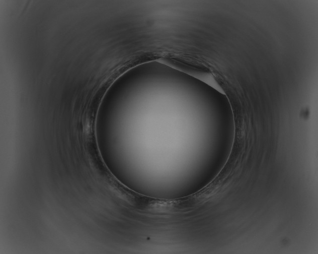 X0000091190084200708301246