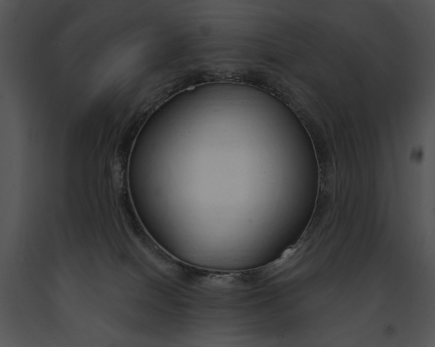 X0000091190086200708301246