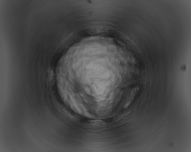 X0000091190087200708301246