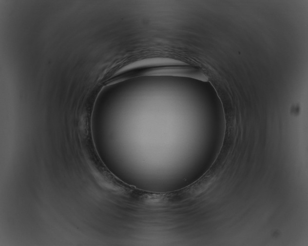 X0000091190088200708301246