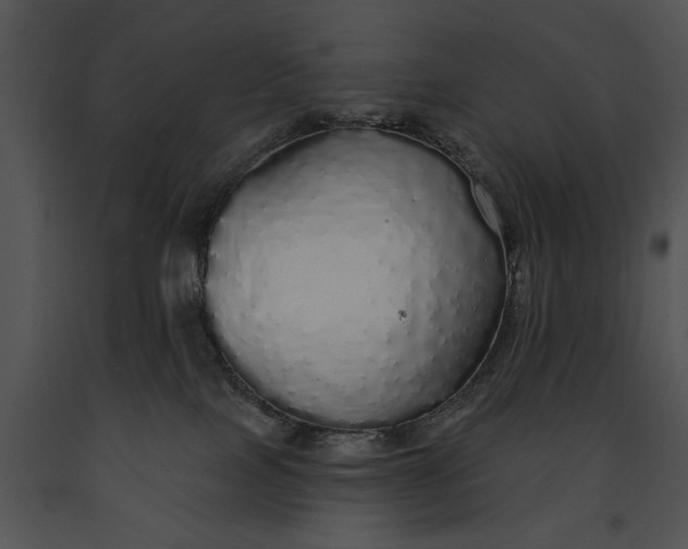 X0000091190089200708301246