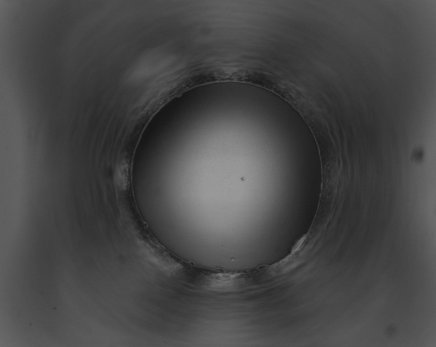 X0000091190090200708301246