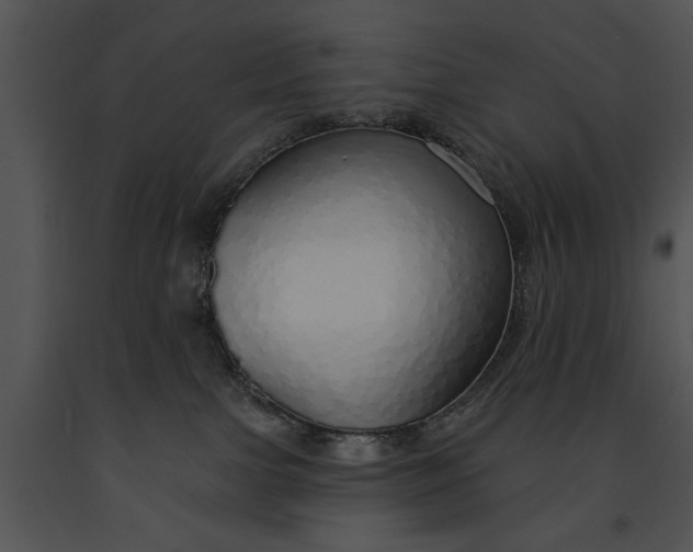 X0000091190091200708301246