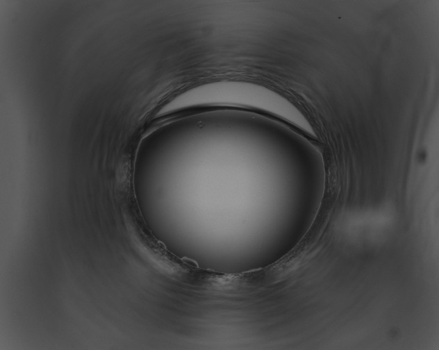 X0000091190092200708301246