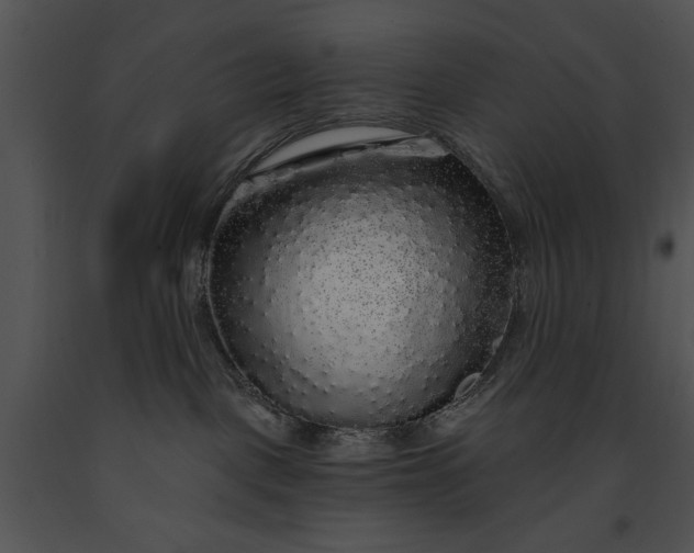 X0000091190093200708301246