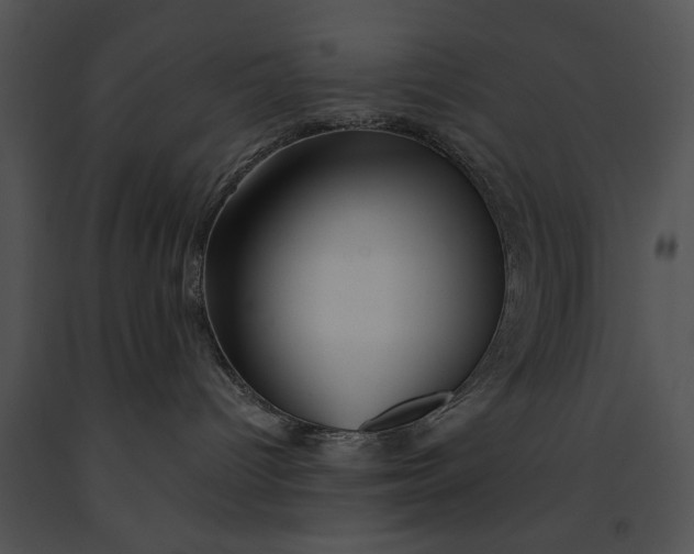 X0000091190096200708301246