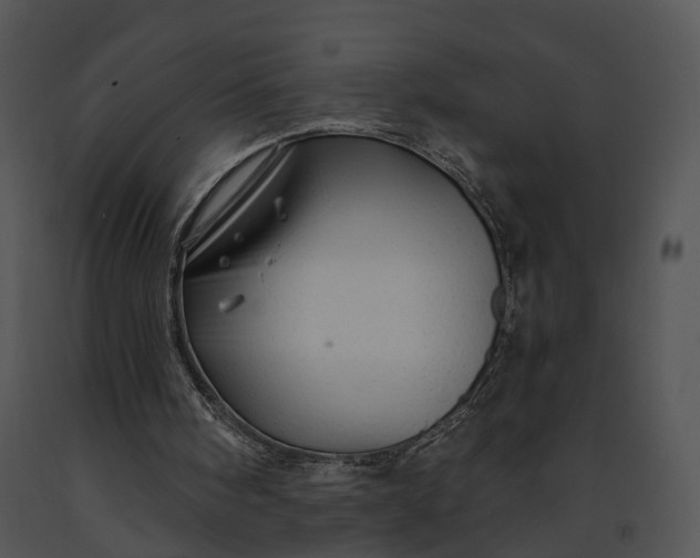 X0000091190098200708301245