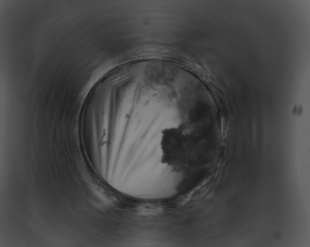 X0000091190099200708301245