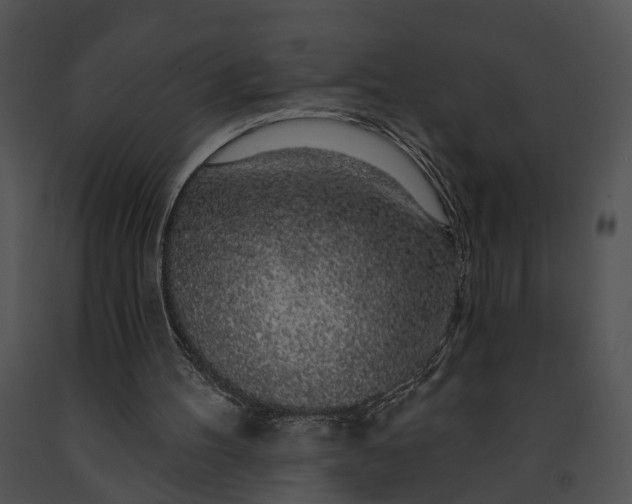 X0000091190100200708301245