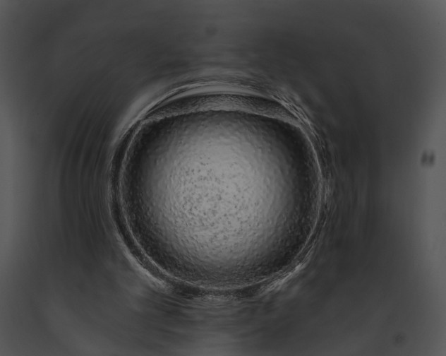 X0000091190101200708301245