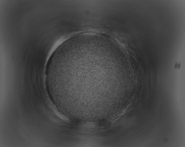 X0000091190102200708301245