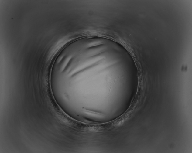 X0000091190103200708301245