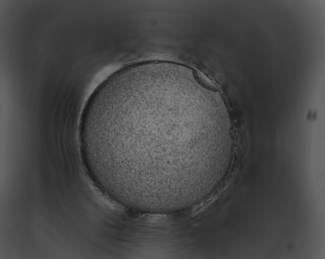 X0000091190104200708301245