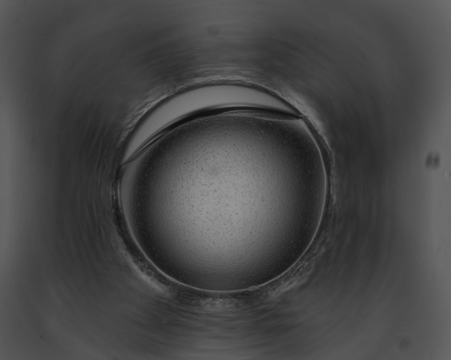 X0000091190105200708301245