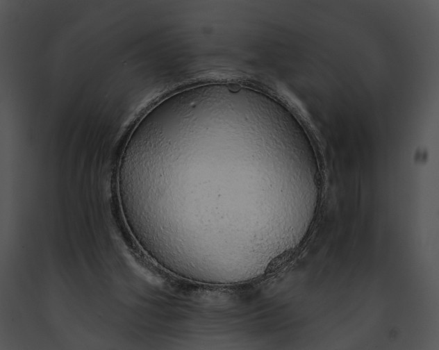 X0000091190106200708301245