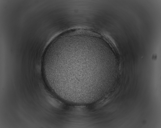 X0000091190108200708301245